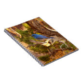 Mountain Bluebird at Arches National Park Notizblock (Rechte Seite)