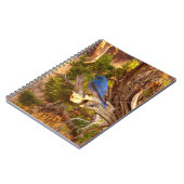 Mountain Bluebird at Arches National Park Notizblock (Linke Seite)