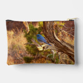 Mountain Bluebird at Arches National Park Zubehörtasche (Rückseite)