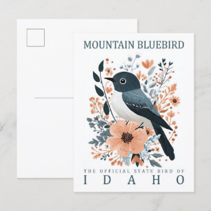 Mountain Bluebird Bird of Idaho USA Travel Postkarte