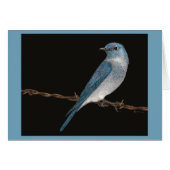 Mountain Bluebird Card (Vorderseite (Horizontal))