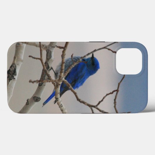 Mountain Bluebird Case-Mate iPhone Hülle (Rückseite (Horizontal))