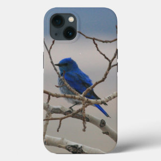 Mountain Bluebird Case-Mate iPhone Hülle