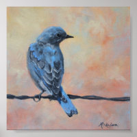 Mountain Bluebird Fine Art Print (klein)