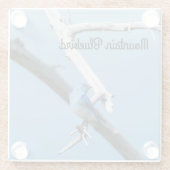 Mountain Bluebird Glasuntersetzer (Rückseite)