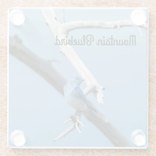 Mountain Bluebird Glasuntersetzer (Rückseite)