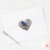 Mountain Bluebird Herz-Aufkleber (Umschlag)