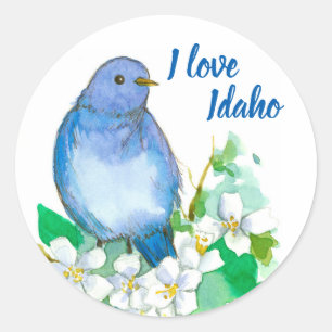 Mountain Bluebird I Liebe Idaho Runder Aufkleber