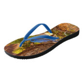 Mountain Bluebird im Nationalpark Arches Badesandalen (Schrägansicht)