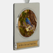 Mountain Bluebird im Nationalpark Arches Banner-Ornament Silber (Rechts)