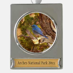 Mountain Bluebird im Nationalpark Arches Banner-Ornament Silber