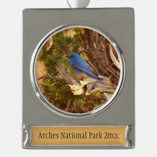 Mountain Bluebird im Nationalpark Arches Banner-Ornament Silber (Vorderseite)