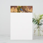 Mountain Bluebird im Nationalpark Arches Briefpapier (Stehend Vorderseite)