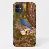 Mountain Bluebird im Nationalpark Arches Case-Mate iPhone Hülle (Rückseite)