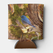 Mountain Bluebird im Nationalpark Arches Dosenkühler (Vorderseite)