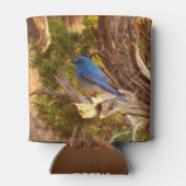 Mountain Bluebird im Nationalpark Arches Dosenkühler (Rückseite)