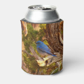 Mountain Bluebird im Nationalpark Arches Dosenkühler (Kanne Rückseite)