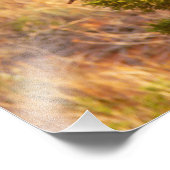 Mountain Bluebird im Nationalpark Arches Fotodruck (Ecke)