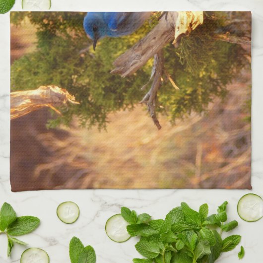 Mountain Bluebird im Nationalpark Arches Geschirrtuch (Gefaltet)