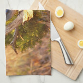 Mountain Bluebird im Nationalpark Arches Geschirrtuch (Viertel Falte)