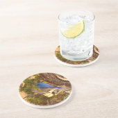 Mountain Bluebird im Nationalpark Arches Getränkeuntersetzer (Seite)