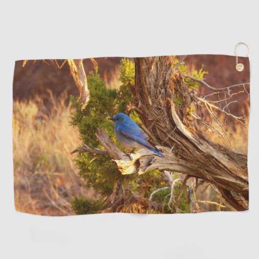Mountain Bluebird im Nationalpark Arches Golfhandtuch (Horizontal)