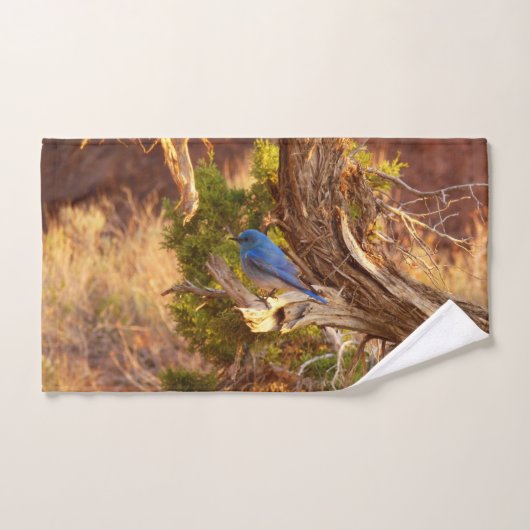 Mountain Bluebird im Nationalpark Arches Handtuch (Handtuch)