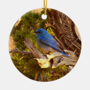 Mountain Bluebird im Nationalpark Arches Keramikornament