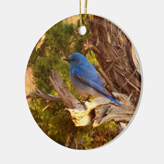 Mountain Bluebird im Nationalpark Arches Keramikornament (Links)