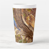 Mountain Bluebird im Nationalpark Arches Milchtasse (Vorderseite)