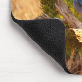 Mountain Bluebird im Nationalpark Arches Mousepad (Ecke)