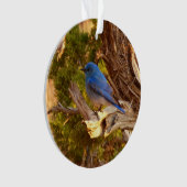 Mountain Bluebird im Nationalpark Arches Ornament (Vorderseite)
