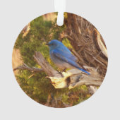 Mountain Bluebird im Nationalpark Arches Ornament (Rückseite)