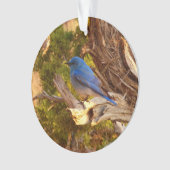 Mountain Bluebird im Nationalpark Arches Ornament (Vorderseite)