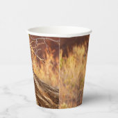 Mountain Bluebird im Nationalpark Arches Pappbecher (Rechts)