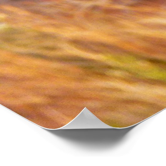 Mountain Bluebird im Nationalpark Arches Poster (Ecke)