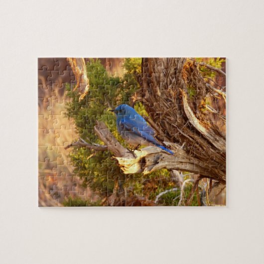 Mountain Bluebird im Nationalpark Arches Puzzle (Horizontal)