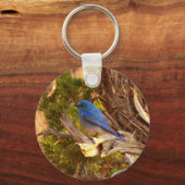 Mountain Bluebird im Nationalpark Arches Schlüsselanhänger (Vorderseite)