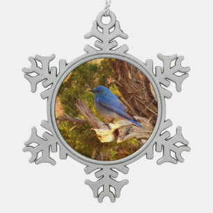Mountain Bluebird im Nationalpark Arches Schneeflocken Zinn-Ornament