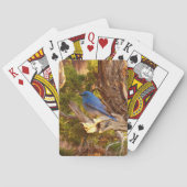 Mountain Bluebird im Nationalpark Arches Spielkarten (Rückseite)