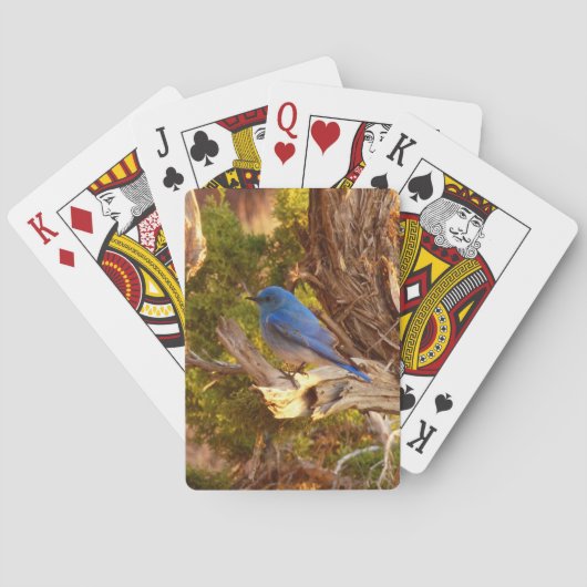 Mountain Bluebird im Nationalpark Arches Spielkarten (Rückseite)