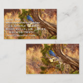 Mountain Bluebird im Nationalpark Arches Visitenkarte (Vorne/Hinten)