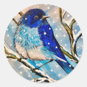 Mountain Bluebird im Weihnachtsschnee Runder Aufkleber