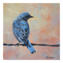 Mountain Bluebird Kunstdruckerei