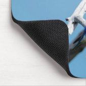 Mountain Bluebird Mousepad (Ecke)