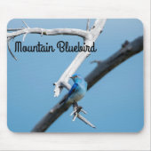 Mountain Bluebird Mousepad (Vorne)