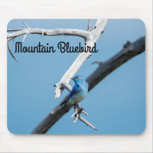 Mountain Bluebird Mousepad