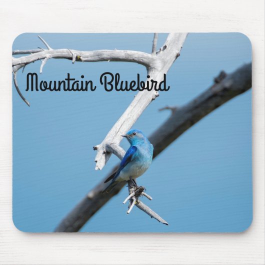 Mountain Bluebird Mousepad (Vorne)