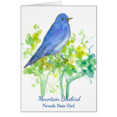 Mountain Bluebird Nevada Staat Bird Blank (Vorne)