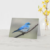 Mountain Bluebird Notecard Karte (Gelbe Blume)